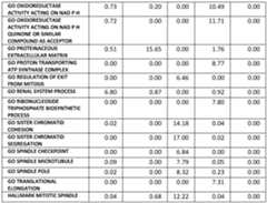 Figure imgf000207_0001