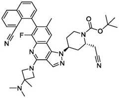 Figure BDA0003993773060003031