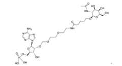 Figure 112117718-A0304-12-0093-13