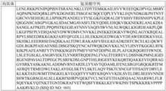 Figure BDA0003627552160002311