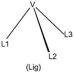 Figure BDA0001926598900000041