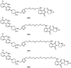 Figure BDA0002820366850000051