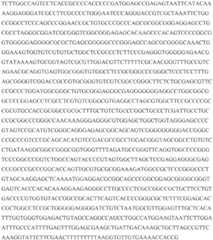 Figure BDA0002903626720000291