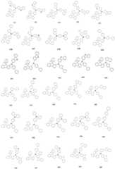 Figure FDA0002697681650000191