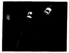 Figure imgf000046_0002