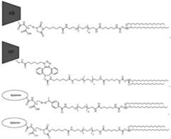 Figure imgf000349_0001
