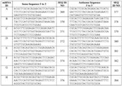 Figure imgf000213_0002