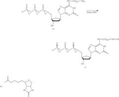 Figure US08518671-20130827-C00003