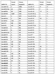 Figure GPA00001197224900141