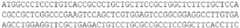 Figure imgb0267