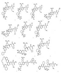 Figure imgf000630_0001