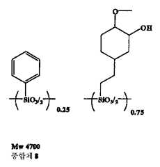 Figure 112004023837450-pat00024