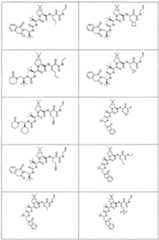 Figure imgf000294_0001