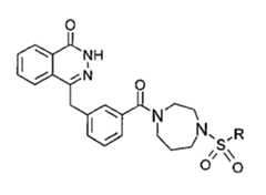 Figure 112005050535669-pct00061