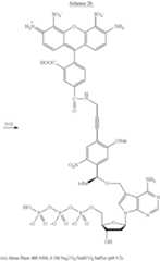 Figure US08889860-20141118-C00031