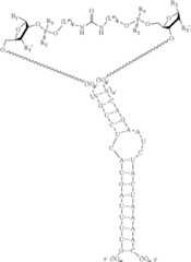 Figure US12338436-20250624-C00438