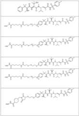 Figure imgf000203_0001
