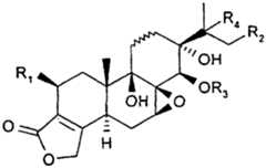 Figure imgf000038_0001