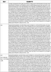 Figure BDA0003627552160001161