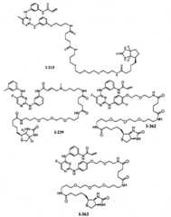 Figure BPA00001280125601241