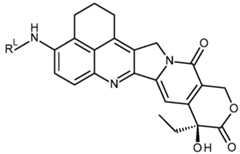 Figure imgf000079_0001