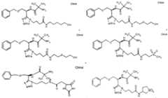 Figure imgf000044_0005