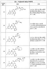 Figure G2007800513551D01501