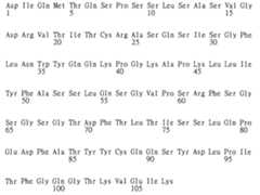 Figure 104119686-A0202-12-0229-341