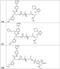 Figure BDA0002268634580002921