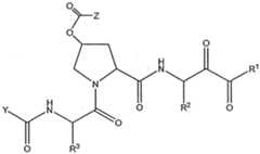 Figure imgf000615_0001