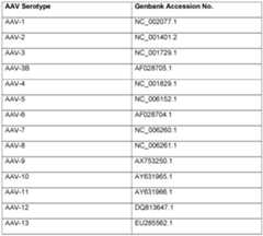 Figure imgf000099_0001