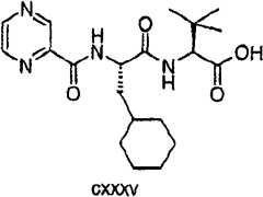 Figure G2009101493490D02272