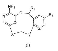 Figure imgf000019_0001