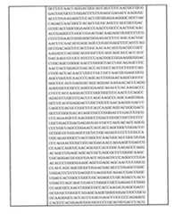 Figure 0007438604000038