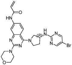 Figure BDA0003549429610000971