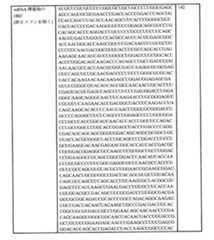 Figure 0007438604000054