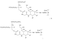 Figure 112009026250918-PCT00061