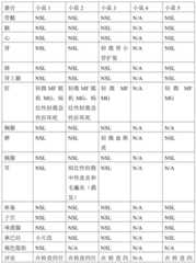 Figure GDA0002731146240002042