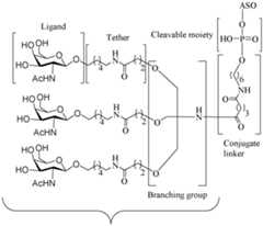 Figure imgf000091_0001