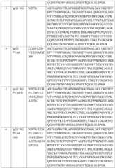 Figure BDA0004113436180000461