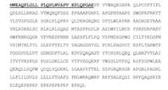 Figure 105123965-A0305-02-0127-96