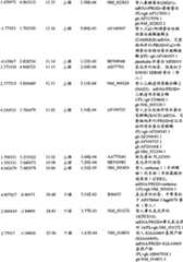 Figure BPA00001280678303501