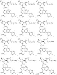 Figure imgf000051_0001