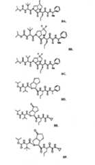 Figure BSA00000606821200721