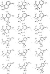 Figure A20088000302100471