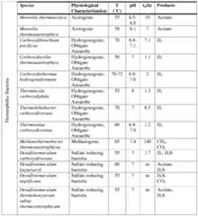 Figure imgf000046_0001