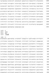 Figure IDA0002728416920000071