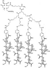 Figure imgf000064_0001