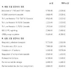 Figure 112021006642689-pat00002