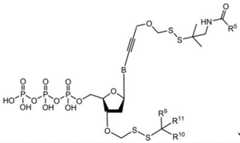 Figure BDA0003670511740001952